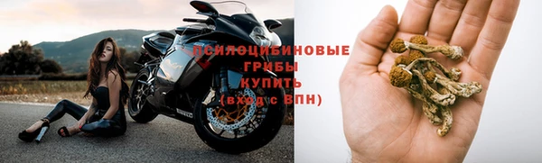 соль курить ск Арсеньев