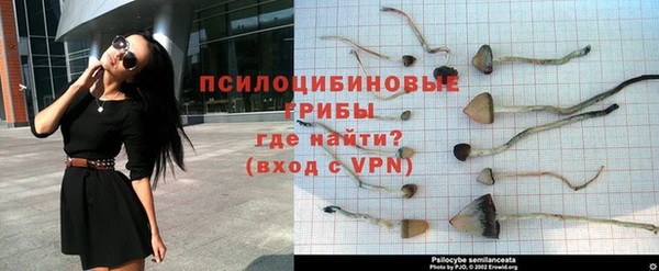spice Армянск