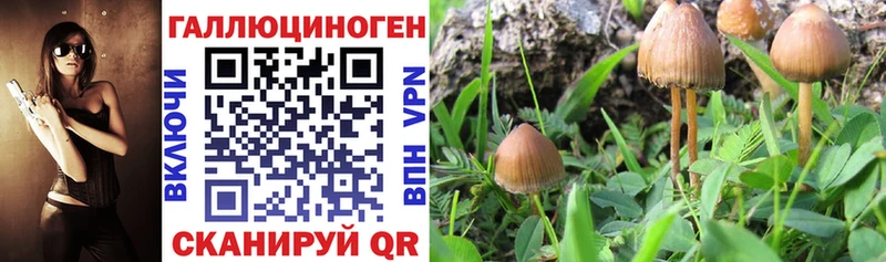hydra рабочий сайт  Суоярви  Галлюциногенные грибы прущие грибы 